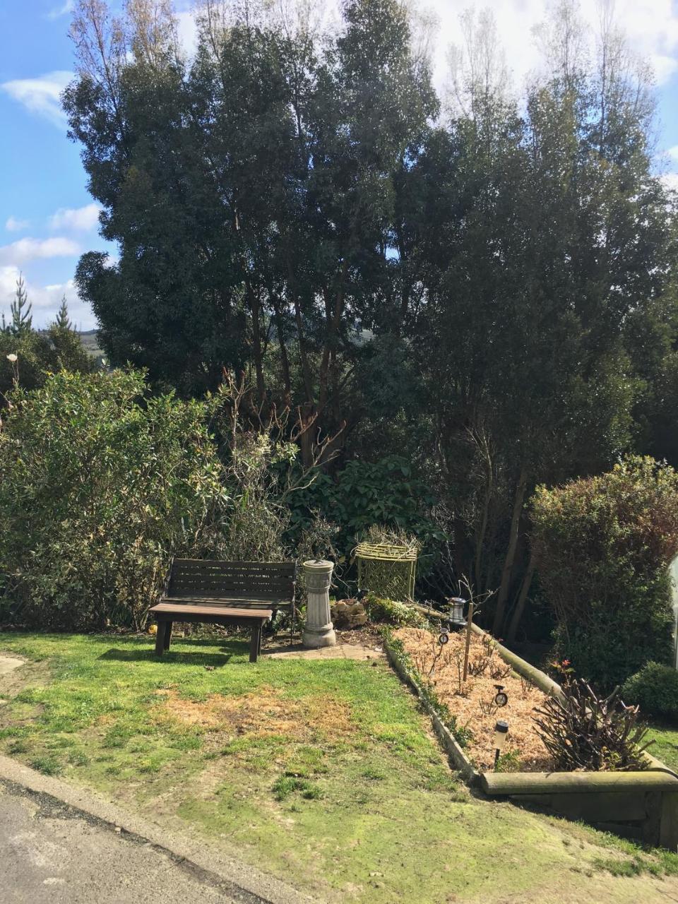 Sharyn'S B & B Dunedin Exterior photo