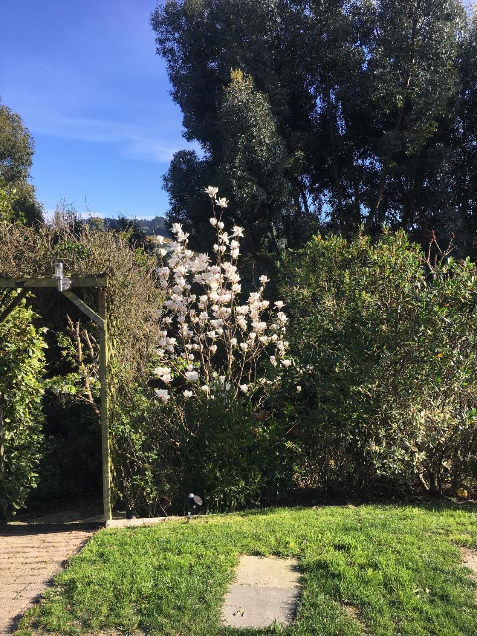 Sharyn'S B & B Dunedin Exterior photo