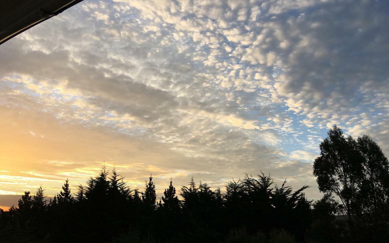 Sharyn'S B & B Dunedin Exterior photo
